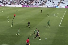 赛地聚焦——法国杯赛后热度飙升，成都蓉城临场应变，气氛紧张，球队文化再被提及(成都蓉城球迷开放日活动)-尊龙网页版